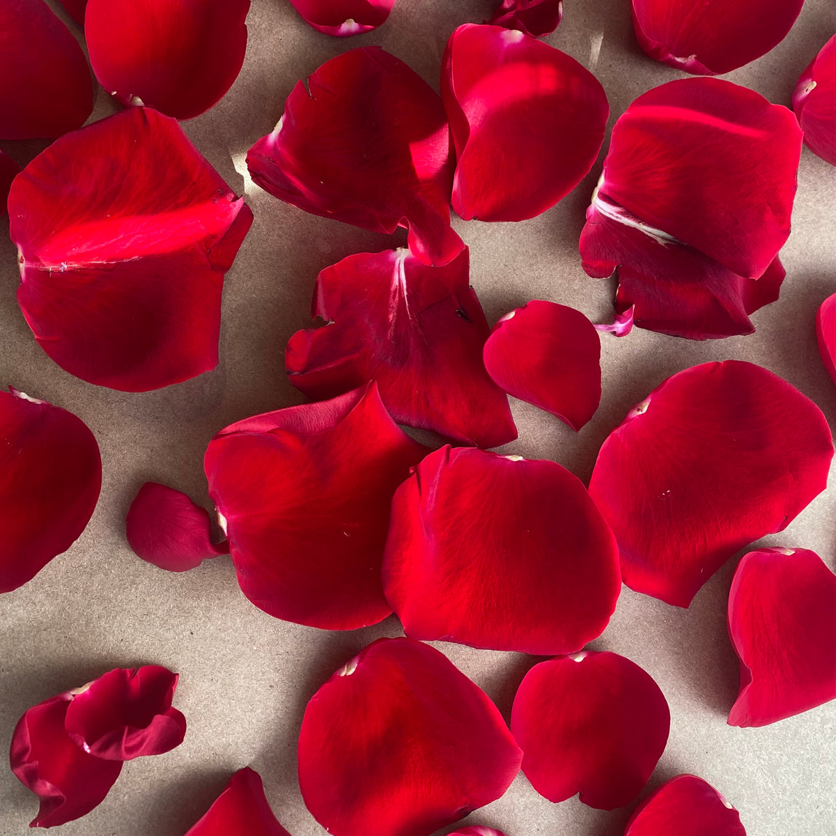 Rose, Handmade Artisan Bar Soap with Pure Rosa Damascena Essential Oil, Surfactant-free, Single Bar