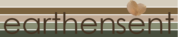 Image with text section
